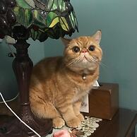 Hope Sea Bed and Breakfast