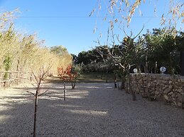 Locations des Alpilles