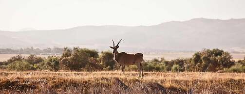 Denneboom Vineyards and Wildlife