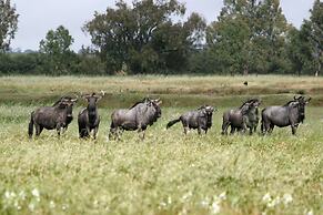 Denneboom Vineyards and Wildlife