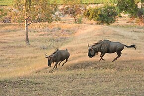 Denneboom Vineyards and Wildlife