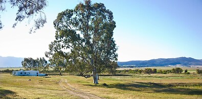 Denneboom Vineyards and Wildlife