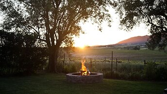 Denneboom Vineyards and Wildlife