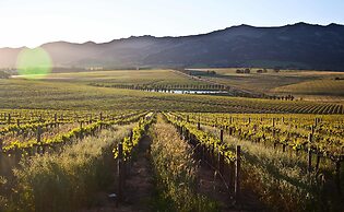 Denneboom Vineyards and Wildlife