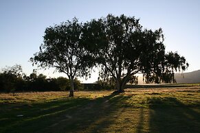Denneboom Vineyards and Wildlife