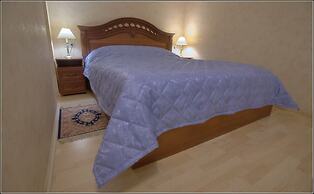 Apart Hotel on Italianskaya 1