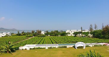 Regenta Resort Soma Vine Village