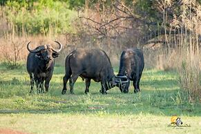 iKhaya LamaDube Game Lodge