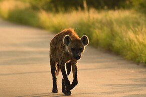 iKhaya LamaDube Game Lodge