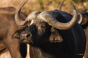 iKhaya LamaDube Game Lodge