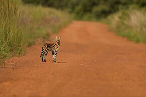iKhaya LamaDube Game Lodge