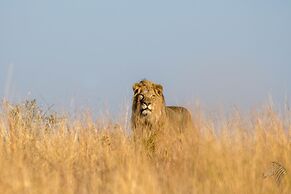 iKhaya LamaDube Game Lodge