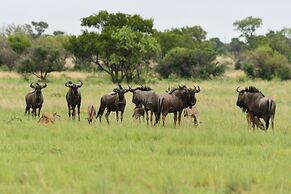 iKhaya LamaDube Game Lodge