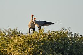 iKhaya LamaDube Game Lodge