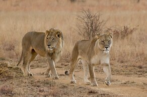 iKhaya LamaDube Game Lodge
