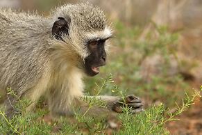 iKhaya LamaDube Game Lodge