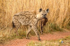 iKhaya LamaDube Game Lodge
