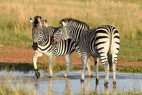 iKhaya LamaDube Game Lodge