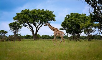 iKhaya LamaDube Game Lodge