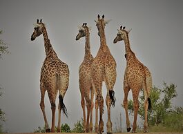 iKhaya LamaDube Game Lodge