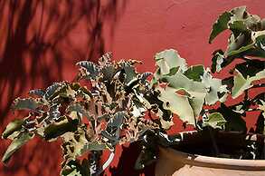 La Casona de Tita Oaxaca