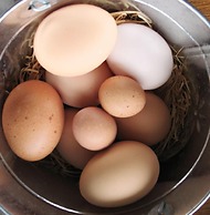 Riverboat Bed & Breakfast