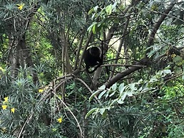 Villa Rock Stop Falls