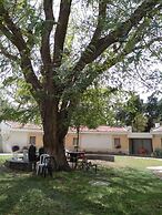 Jordan Valley Birding Lodge