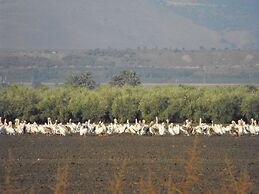 Jordan Valley Birding Lodge