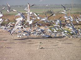 Jordan Valley Birding Lodge