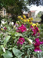 Jordan Valley Birding Lodge