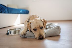 Domo20 Hotel & Sky Bar