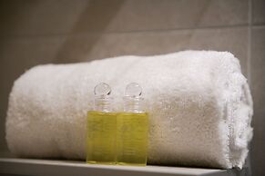 Aiguille Verte & spa