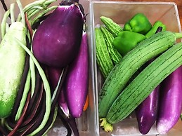 Yi Garden Cultural Hotel Disney Branch