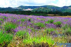 Quinta das Lavandas