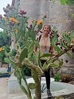 La Rosa dei Venti B&B