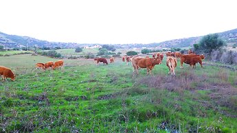 Comino Alto Agriturismo e  Appartamenti