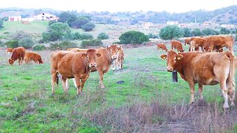 Comino Alto Agriturismo e  Appartamenti