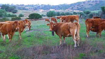 Comino Alto Agriturismo e  Appartamenti