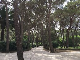 Casa Vacanza Bibbona