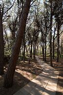 Casa Vacanza Bibbona