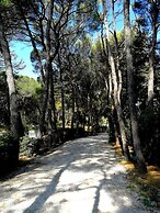 Casa Vacanza Bibbona