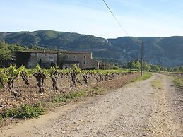 Les Guillaume Rey