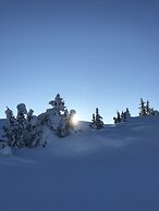 The Apartments company - The Sweet