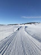 The Apartments company - The Sweet