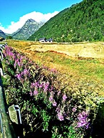 Chalet Rec dels Noguers