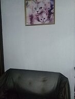 Hostel Residential Inn