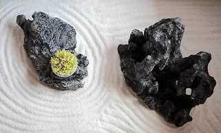 Jiuhua Mountain Banchumeisu Inn