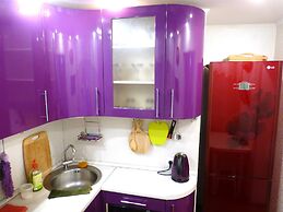 Apartments on Tolstogo 1