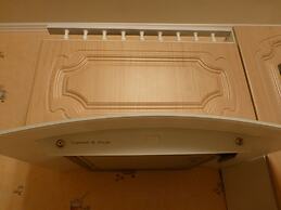 Apartments on Tolstogo 1